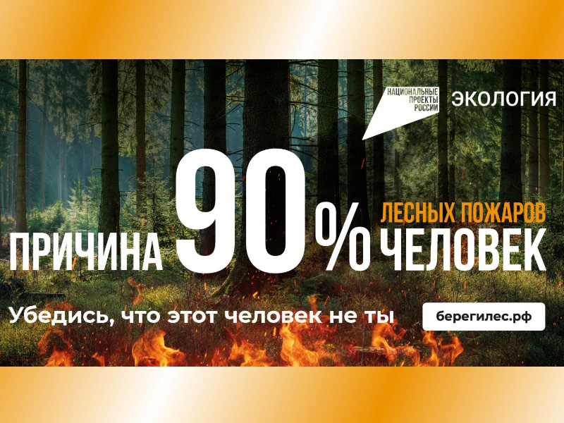 Введены ограничения на пребывание граждан в лесах Калужской области.