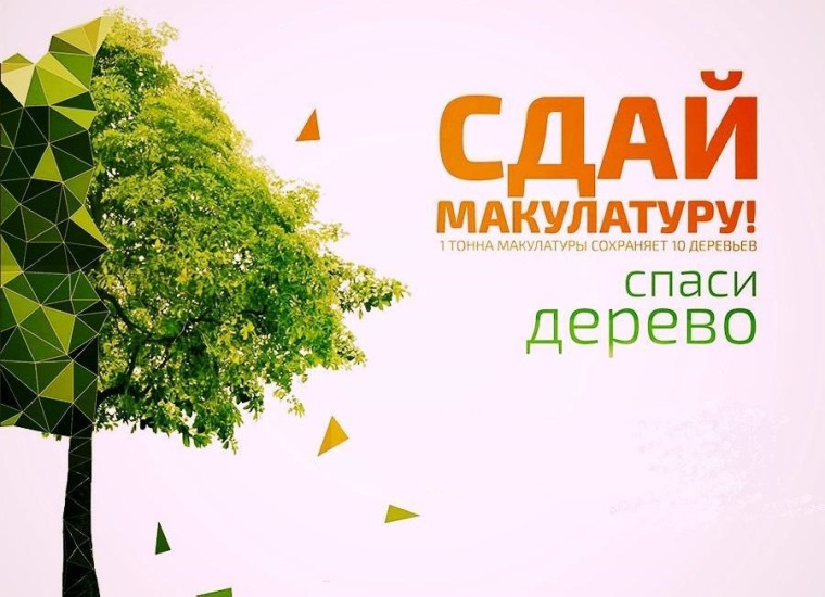 В Калужской области стартует акция «Сдай макулатуру – спаси дерево!».